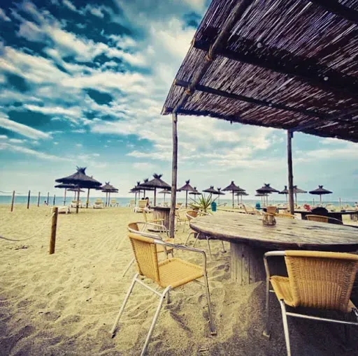 plage et transat de l effet mer (11)